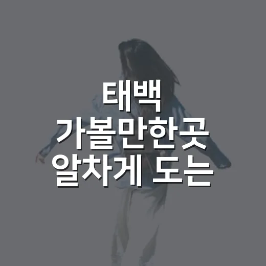 태백 가볼만한곳 알차게 도는 방법, 처음 가는 사람도 편한 코스 - 요약