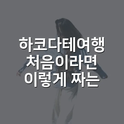 하코다테여행 처음이라면 이렇게 짜는 방법 - 요약