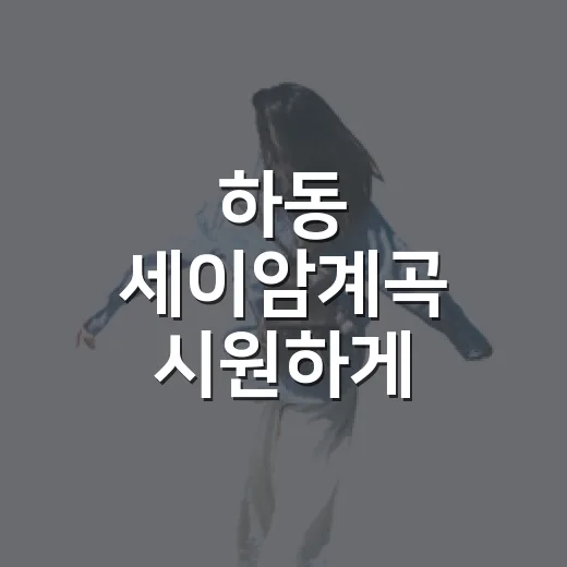하동 세이암계곡 시원하게 다녀오려면 이렇게 준비하세요 - 요약