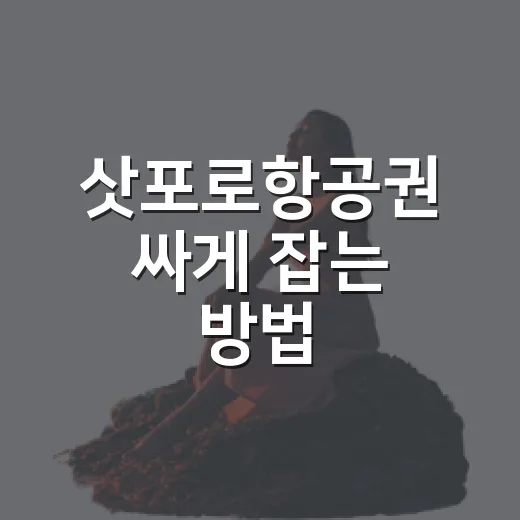삿포로항공권 싸게 잡는 방법, 초보 여행자는 이렇게 비교하면 편합니다 - 요약