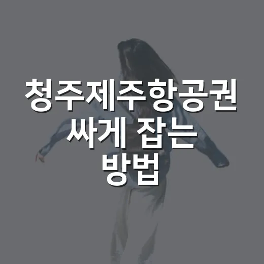 청주제주항공권 싸게 잡는 방법, 시간대와 수하물까지 이렇게 비교하세요 - 요약