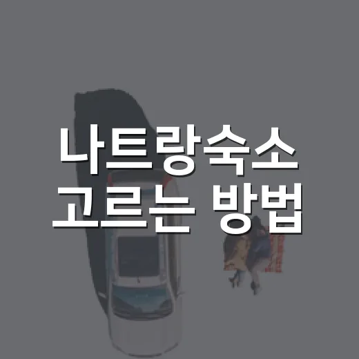 나트랑숙소 고르는 방법, 처음 가는 사람은 지역부터 이렇게 잡으면 편해요 - 요약