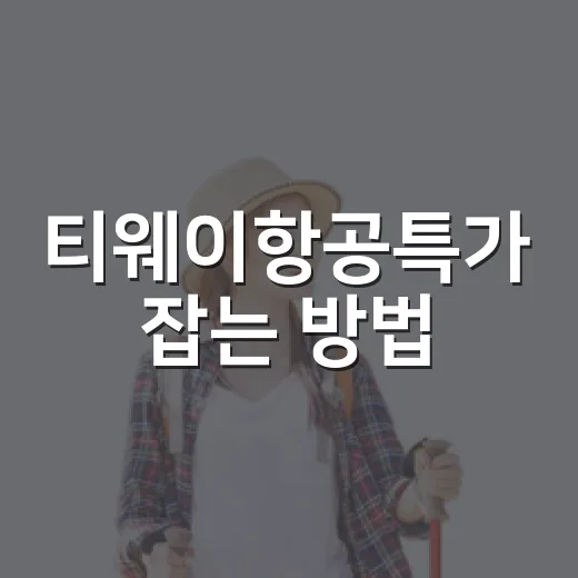 티웨이항공특가 잡는 방법, 가격만 보지 말고 이렇게 확인하세요 - 요약