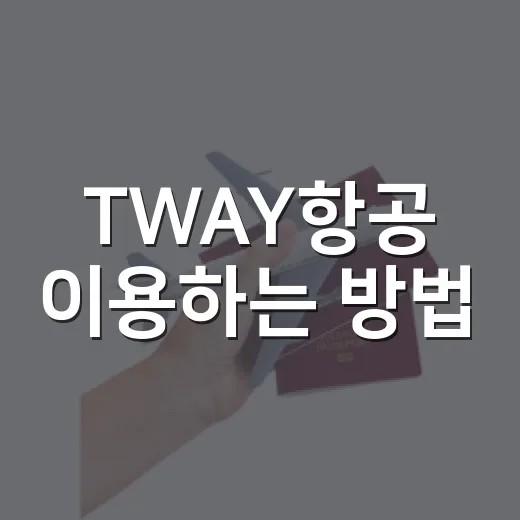 TWAY항공 이용하는 방법, 처음 타는 사람도 헷갈리지 않게 준비하기 - 요약