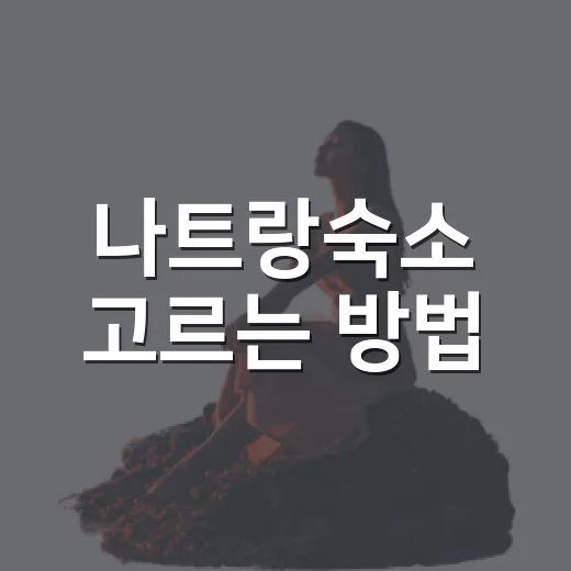 나트랑숙소 고르는 방법, 위치별로 실패 줄이려면 이렇게 - 요약