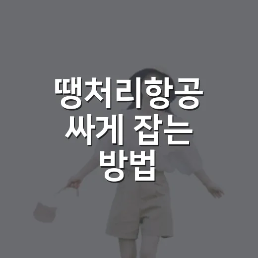 땡처리항공 싸게 잡는 방법, 초보자가 놓치기 쉬운 타이밍과 체크포인트 - 요약