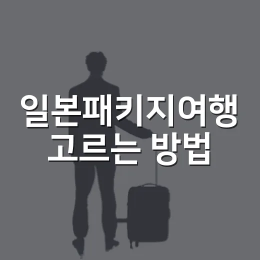 일본패키지여행 고르는 방법, 처음 가는 사람도 덜 헤매려면 이렇게 - 요약