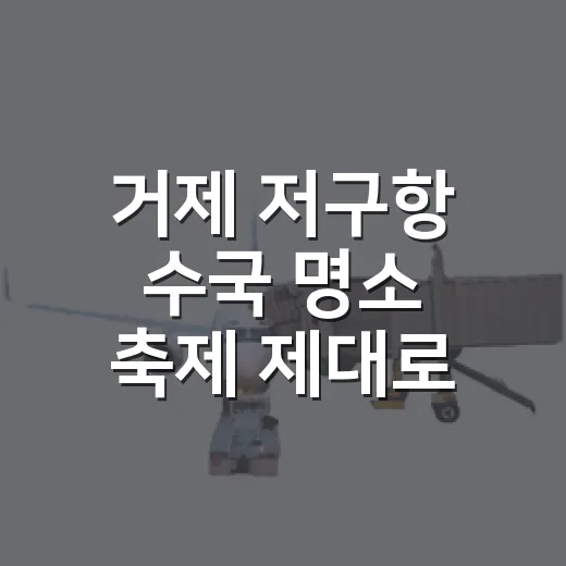 거제 저구항 수국 명소 축제 제대로 즐기는 방법 - 요약