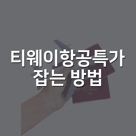 티웨이항공특가 잡는 방법, 초보자도 놓치지 않으려면 이렇게 - 요약