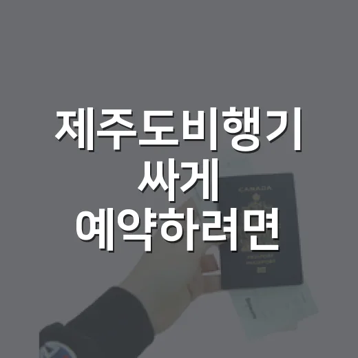 제주도비행기 싸게 예약하려면 이렇게 고르면 됩니다 - 요약