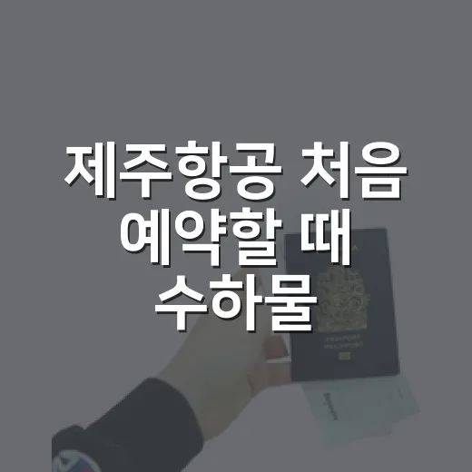 제주항공 처음 예약할 때 수하물·좌석·체크인 실수 줄이는 방법 - 요약