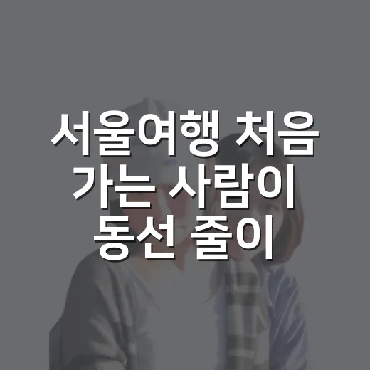 서울여행 처음 가는 사람이 동선 줄이는 방법 - 요약
