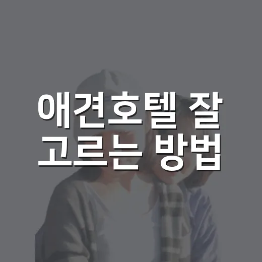 애견호텔 잘 고르는 방법, 맡기기 전 꼭 확인할 것들 - 요약