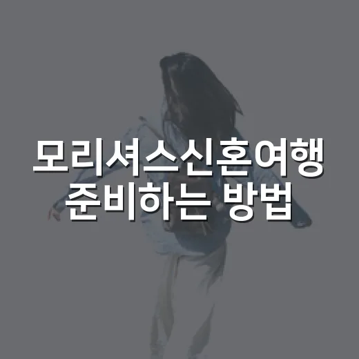모리셔스신혼여행 준비하는 방법, 예산부터 숙소 위치까지 이렇게 잡으면 편해요 - 요약