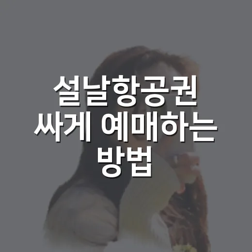 설날항공권 싸게 예매하는 방법, 초보자도 놓치지 않는 예약 순서 - 요약