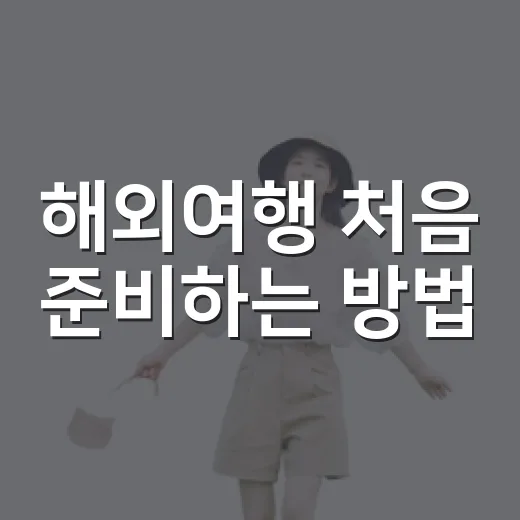 해외여행 처음 준비하는 방법, 짐 싸기부터 현지 이동까지 이렇게 하면 덜 헤맵니다 - 요약