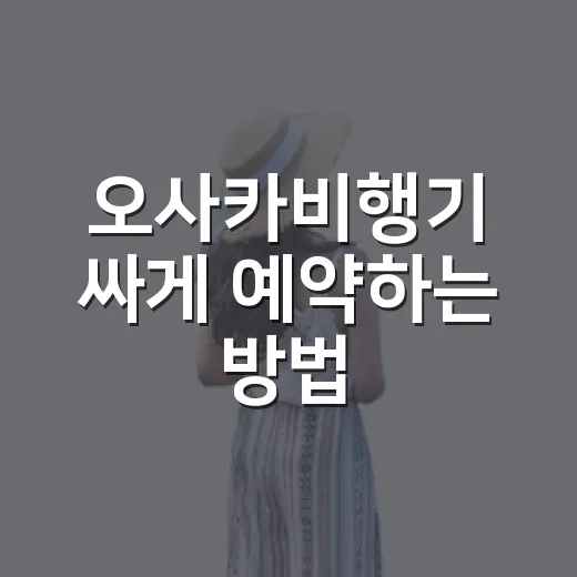 오사카비행기 싸게 예약하는 방법, 초보자는 이렇게 고르면 편해요 - 요약