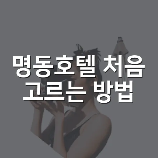 명동호텔 처음 고르는 방법, 위치부터 예산까지 이렇게 잡으면 편합니다 - 요약