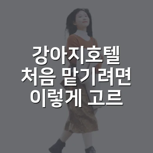 강아지호텔 처음 맡기려면 이렇게 고르면 마음이 편합니다 - 요약