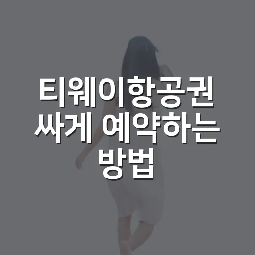 티웨이항공권 싸게 예약하는 방법, 초보자도 놓치기 쉬운 체크 포인트 - 요약