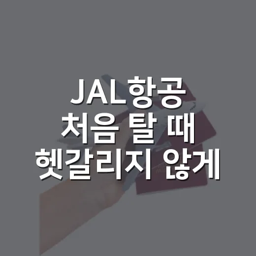 JAL항공 처음 탈 때 헷갈리지 않게 준비하는 방법 - 요약