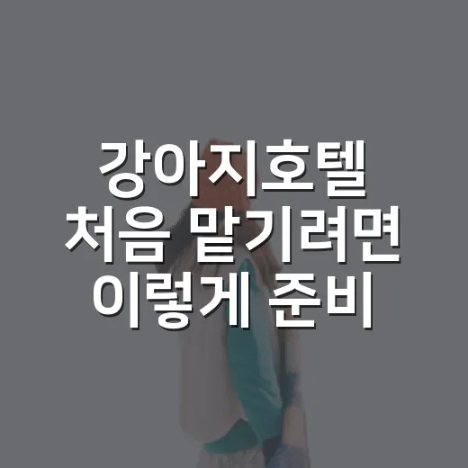 강아지호텔 처음 맡기려면 이렇게 준비하는 방법 - 요약
