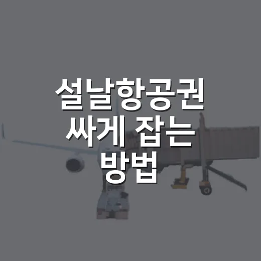 설날항공권 싸게 잡는 방법, 초보자도 놓치지 않으려면 이렇게 - 요약