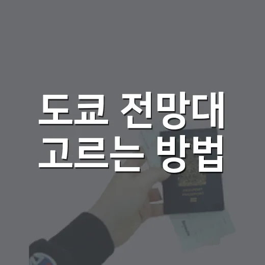 도쿄 전망대 고르는 방법: 처음 가는 사람도 실패 줄이는 선택법 - 요약
