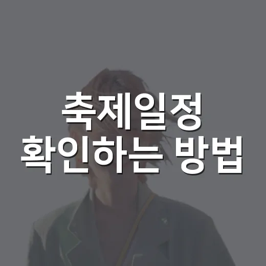 축제일정 확인하는 방법, 헛걸음 줄이려면 이렇게 챙기세요 - 요약
