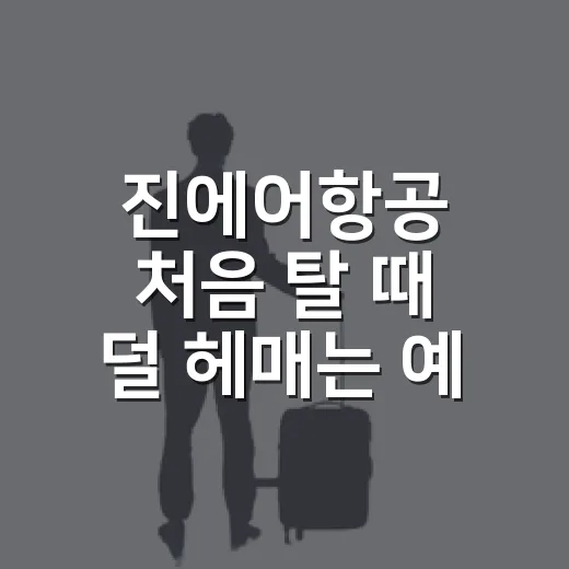 진에어항공 처음 탈 때 덜 헤매는 예매와 수하물 준비 방법 - 요약