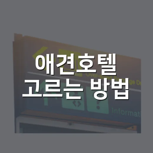 애견호텔 고르는 방법, 초보 보호자가 예약 전 확인할 것들 - 요약