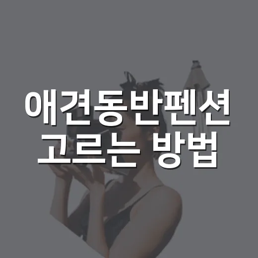애견동반펜션 고르는 방법, 예약 전 꼭 확인할 것들 - 요약