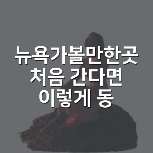 뉴욕가볼만한곳 처음 간다면 이렇게 동선 짜는 방법 - 요약