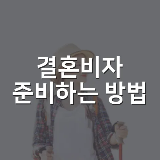 결혼비자 준비하는 방법, 서류부터 소득요건까지 차근차근 - 요약
