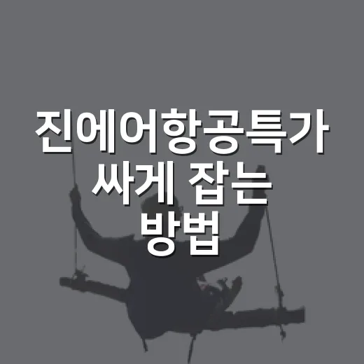 진에어항공특가 싸게 잡는 방법, 초보자도 놓치지 않는 예약 순서 - 요약