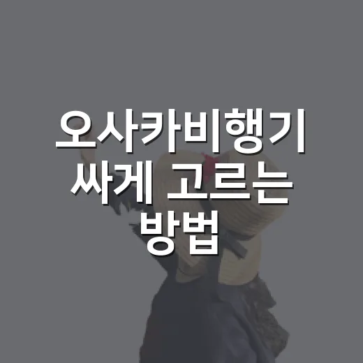 오사카비행기 싸게 고르는 방법, 초보자는 이렇게 잡으면 편해요 - 요약