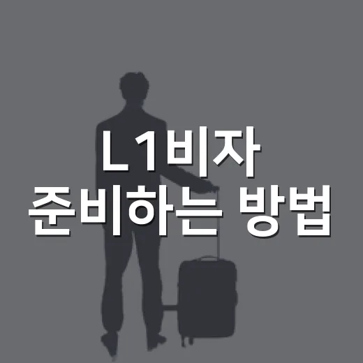 L1비자 준비하는 방법: 미국 주재원 비자 초보자가 먼저 볼 체크리스트 - 요약