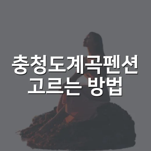 충청도계곡펜션 고르는 방법, 물놀이부터 숙소 위치까지 이렇게 보면 편해요 - 요약