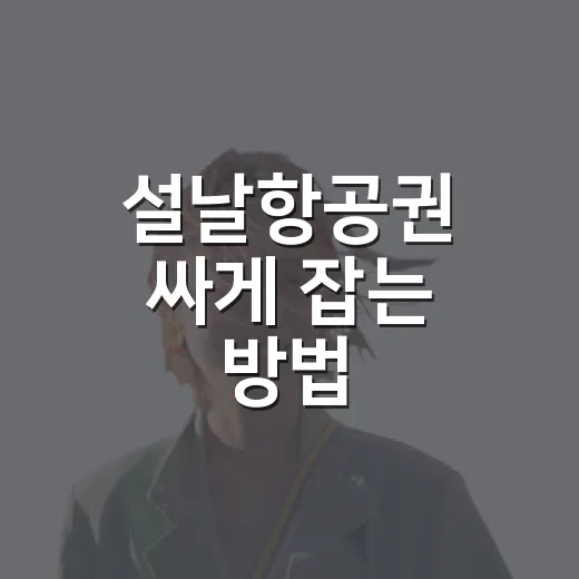 설날항공권 싸게 잡는 방법, 초보자는 이렇게 준비하면 편해요 - 요약