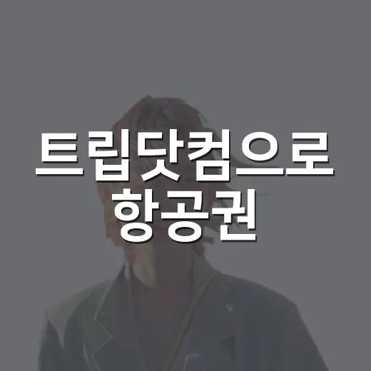 트립닷컴으로 항공권·호텔 예약할 때 실수 줄이는 방법 - 요약