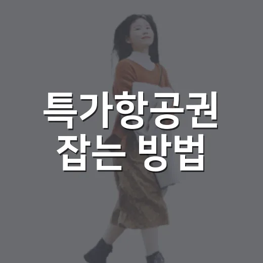 특가항공권 잡는 방법, 초보자도 가격 낮추려면 이렇게 - 요약