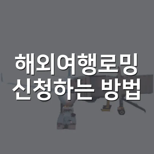해외여행로밍 신청하는 방법, 출국 전 이렇게 준비하면 덜 헤맵니다 - 요약