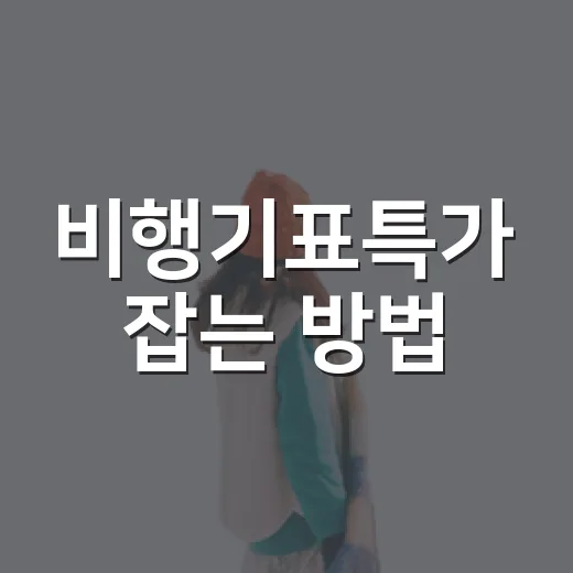 비행기표특가 잡는 방법, 초보도 놓치지 않으려면 이렇게 - 요약
