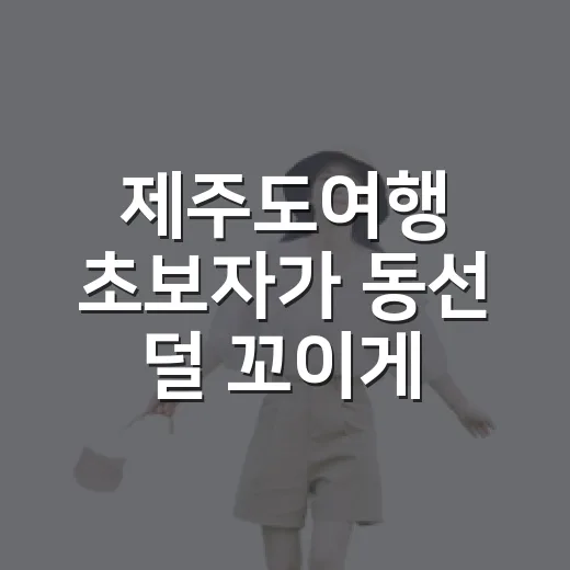 제주도여행 초보자가 동선 덜 꼬이게 준비하는 방법 - 요약