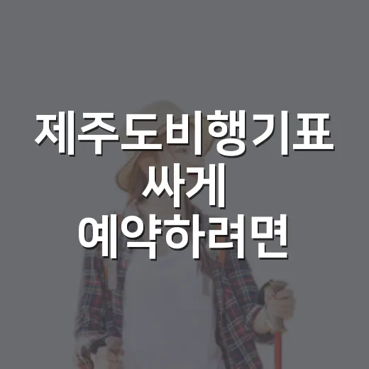 제주도비행기표 싸게 예약하려면 이렇게 고르면 됩니다 - 요약