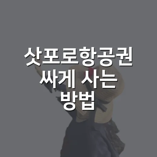 삿포로항공권 싸게 사는 방법, 눈축제부터 여름 성수기까지 예약 타이밍 잡기 - 요약