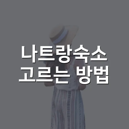 나트랑숙소 고르는 방법, 첫 여행이면 위치부터 이렇게 잡으면 편해요 - 요약