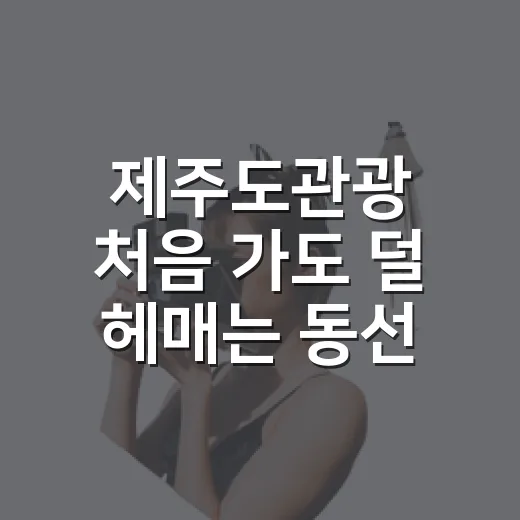 제주도관광 처음 가도 덜 헤매는 동선 짜는 방법 - 요약