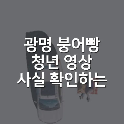 광명 붕어빵 청년 영상 사실 확인하는 방법 - 요약