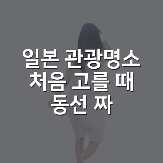 일본 관광명소 처음 고를 때 동선 짜는 방법 - 요약